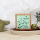 Neem & Alovera Shampoo Bar